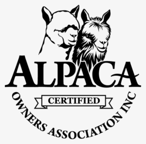 Aoa Certified Ribbon 600 Px - Jpeg