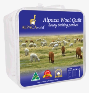 Alpaca Wool Quilt 1 - Quilt