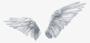 Pintado A Mano De Un Par De Alas Png Transparente - Butterfly Angel Wing
