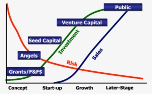 The Company Financing Life Cycle - Company Stage