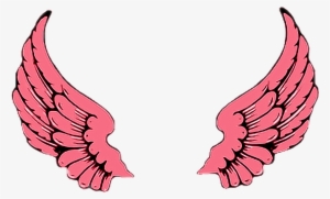 Report Abuse - Png Wings