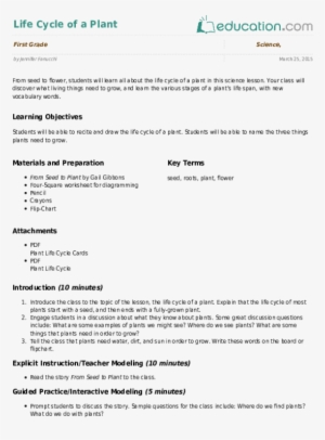 Life Cycle Of A Plant - Experiment Using The Scientific Method For Grade K