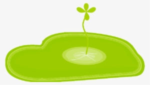 Mb Image/png
