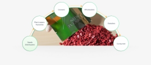 Assuring Top Quality Throughout All Product Cycles - Diagram