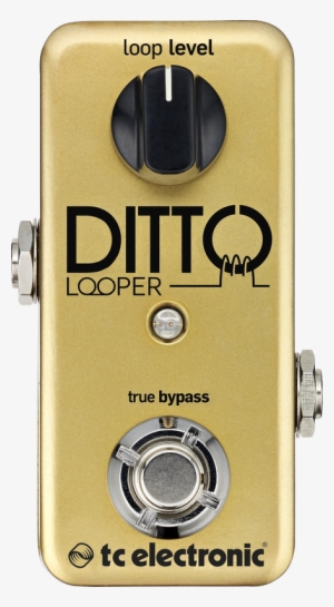 Ditto Looper Gold - Tc Electronic Ditto Looper Gold Limited Edition