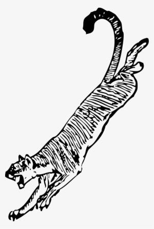 How To Set Use Cougar Clipart