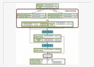 Schematic Diagrams Of Valibs - Common Fig