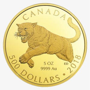 Pure Gold Coin - Gold