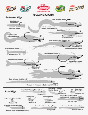 Different Rigs For Bass Fishing