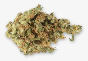 Bg Money'$ Pug Life - Cannabis