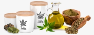 Weed For Sale - Hemp Oil