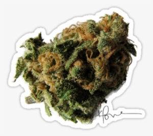 "marijuana Nugget" Stickers By Kenneth Love - Skydog Weed