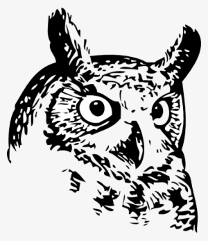Owl Line Art