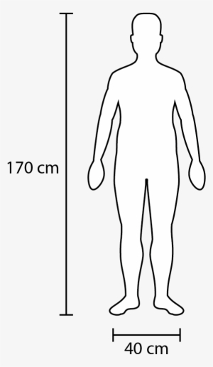 Scale Figures Png Banner Library Download - Human Scale Icon - 643x1039 ...