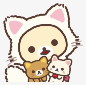 #rilakkuma #korilakkuma #cats #cute