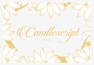 Burgues Script Is Delicate Yet Ornate, Offering Contextual - Chamber Music / Various (includes Dvd)