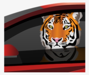 Con Tantas Historias Sobre Árabes Multimillonarios - Bengal Tiger