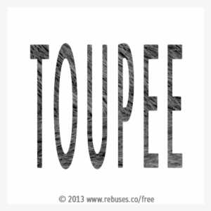 Toupee Rebus - Calligraphy