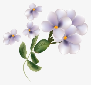 Tubes Png Fleurs - Flower