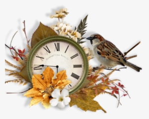 Tubes Images Png - His Eye Is On The Sparrow: 365-day Devotional