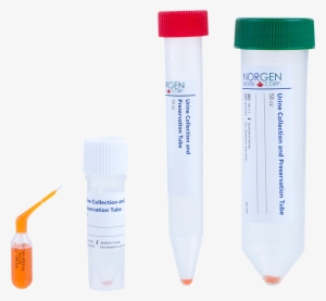 Urine Collection And Preservation Tube 15cc - Norgen Biotek