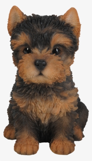 Small Image Of Pet Pals Yorkshire Terrier Puppy - Natures Gallery Yorkshire Terrier Puppy Statue - 83525