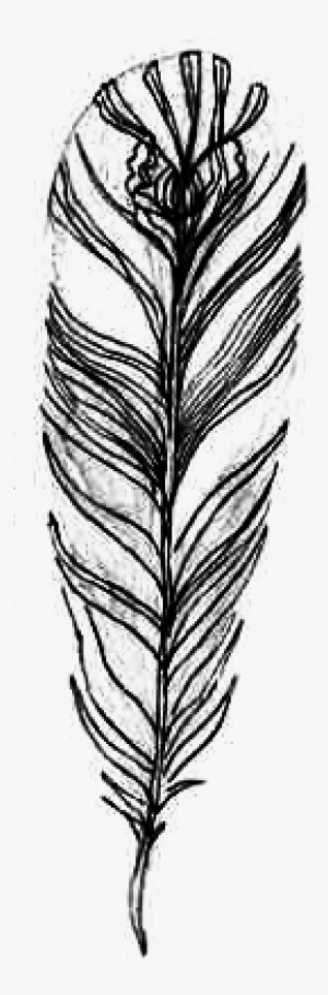 Transparent Feathers Hipster Banner Royalty Free Library - Pluma Tumblr Blanco Y Negro