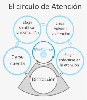 Circulo De Atención