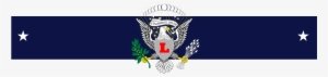 Silver Legion Of America Symbol