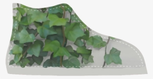 Watercolor Vines, Climbing Plant Women's High Top Canvas - Wall Backpack By Ivaw