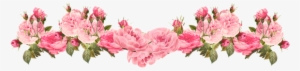 Next - Vintage Flower Border Png