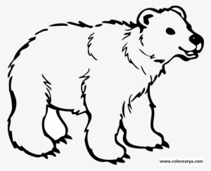 Dibujos Colorear Oso - Bear Cartoon Black And White
