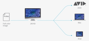 Dual Workflow Enables Raw To Go To The Raids And Lto - Led-backlit Lcd Display
