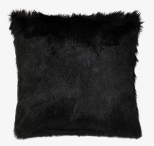 Blanket