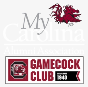 South Carolina Gamecocks - Sc Gamecocks Holographic Portfolio