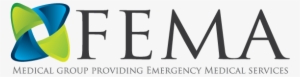 It Company Logo Design For Fema In United States - Stoneleigh Park