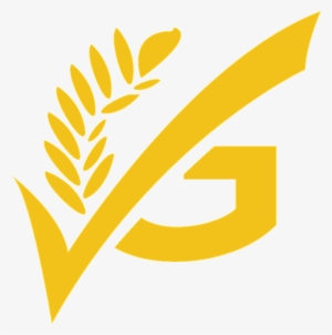 Gluten Free Restaurant Featured In Usa Today