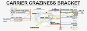 Ocean Carrier Alliances