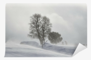 Ain't No Grave: A Novel