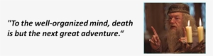 One Response To “the Wisdom Of Albus Dumbledore