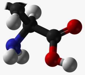 L-amino Acid Any - Amino Acids Png