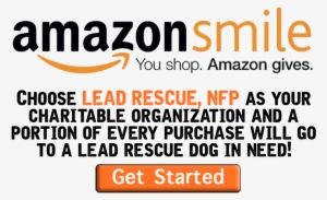 Amazonsmile - Amazon Smiles