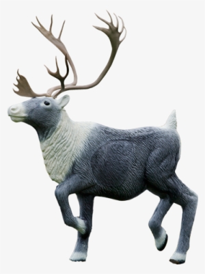 Caribou - 3 D Targets