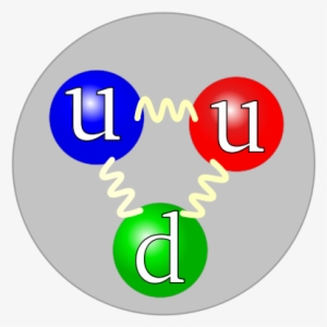New Measurement With Deuterium Nucleus Confirms Proton - Proton Quarks
