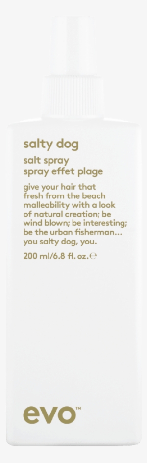 Salty Dog - Evo Mister Fantastic Blowout Spray