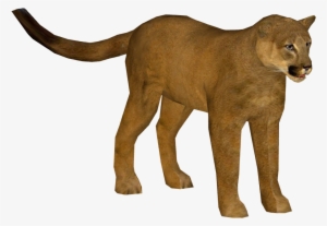 Puma - Papo Puma Toy