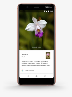 Mit Google Lens Erfährst Du Mehr Über Das, Was Auf - Google Lens