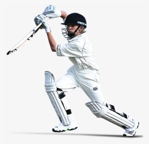 Cricket Transparent Images Png - Transparent Cricket Png