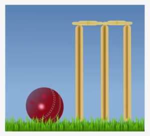 How To Set Use Cricket Illustration Clipart