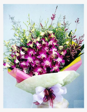 Hb O102 Welcome To Singapore - Singapore